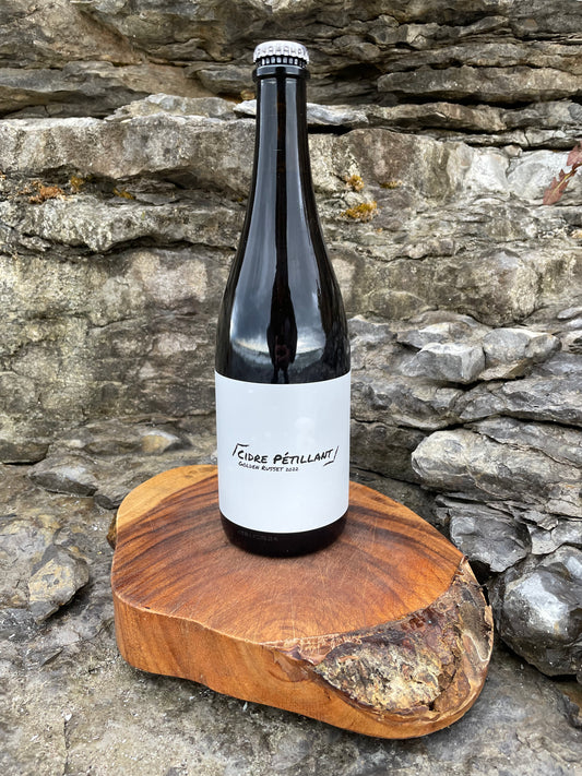 Cider - 2023 Cidre Pétillant